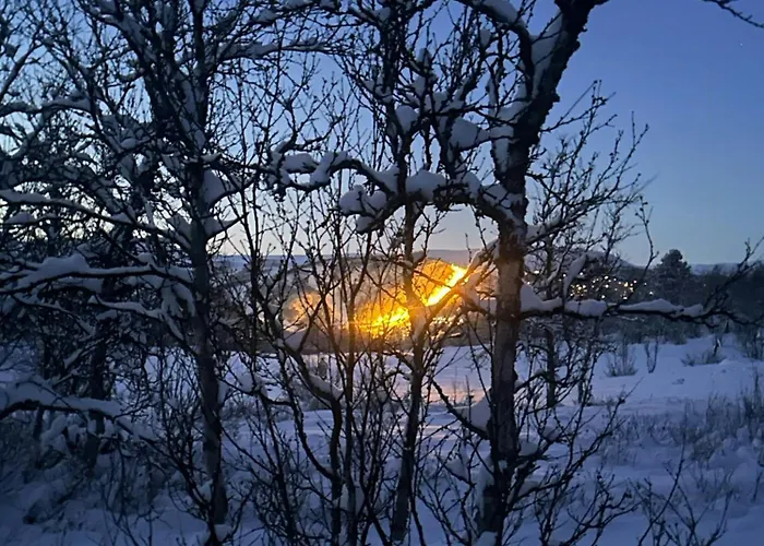 Semesterbostad Cozy Neo With In Out In Geilo